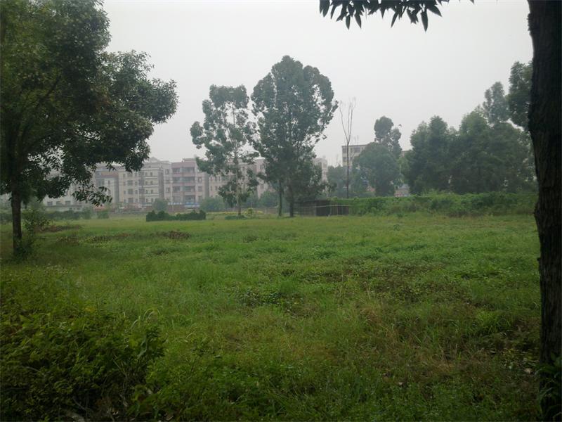 20110902956.jpg